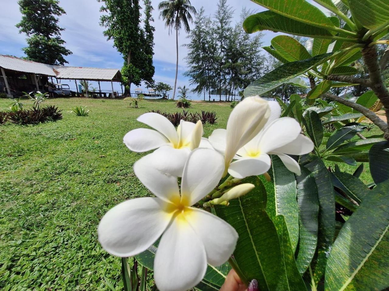 Miss You Beach Resort Koh Mak Luaran gambar